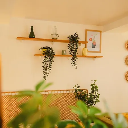 Haven - Joli - Centre De Caen